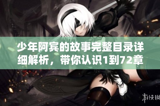 少年阿宾的故事完整目录详细解析，带你认识1到72章节的精彩内容
