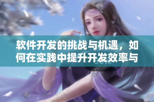 软件开发的挑战与机遇，如何在实践中提升开发效率与质量