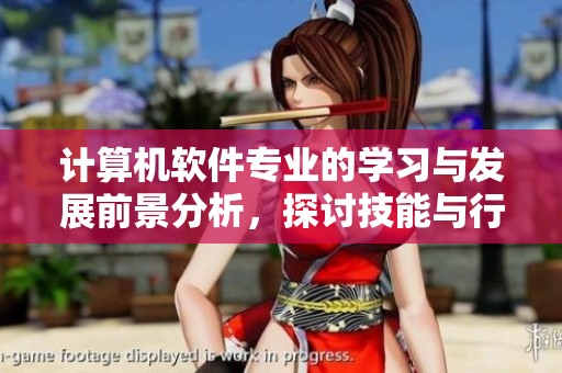 计算机软件专业的学习与发展前景分析，探讨技能与行业需求趋势