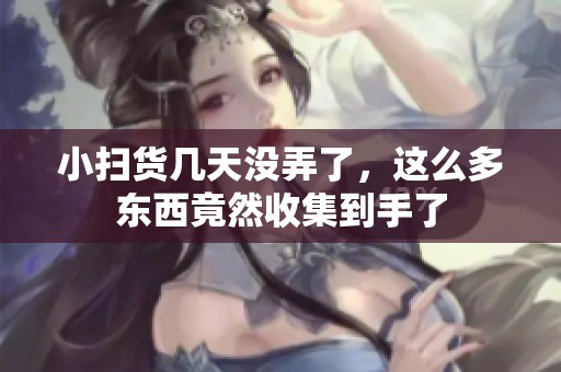 小扫货几天没弄了，这么多东西竟然收集到手了
