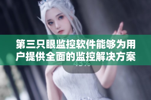 第三只眼监控软件能够为用户提供全面的监控解决方案与服务