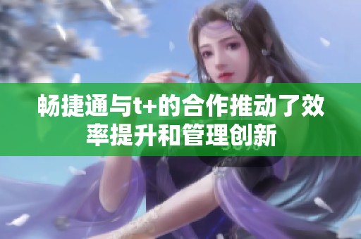 畅捷通与t+的合作推动了效率提升和管理创新