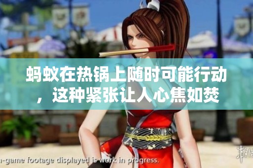蚂蚁在热锅上随时可能行动，这种紧张让人心焦如焚