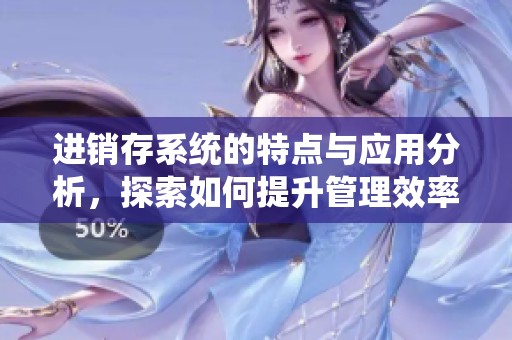 进销存系统的特点与应用分析，探索如何提升管理效率与优化资源配置