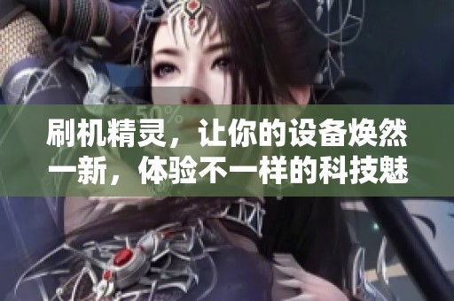 刷机精灵，让你的设备焕然一新，体验不一样的科技魅力