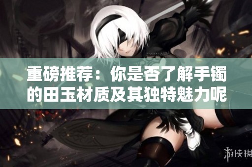 重磅推荐：你是否了解手镯的田玉材质及其独特魅力呢