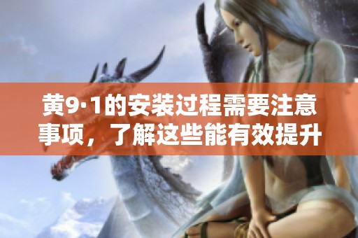 黄9·1的安装过程需要注意事项，了解这些能有效提升操作效率