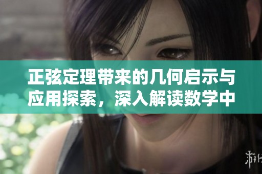 正弦定理带来的几何启示与应用探索，深入解读数学中的这一重要定理