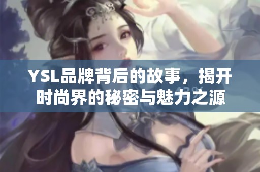 YSL品牌背后的故事，揭开时尚界的秘密与魅力之源