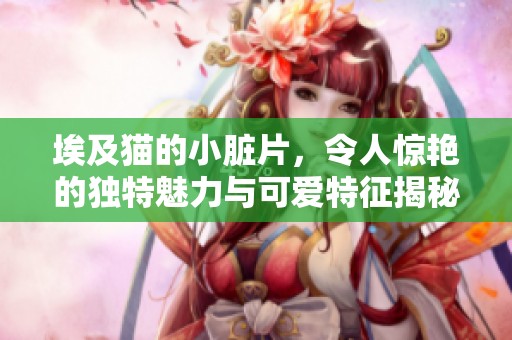 埃及猫的小脏片，令人惊艳的独特魅力与可爱特征揭秘