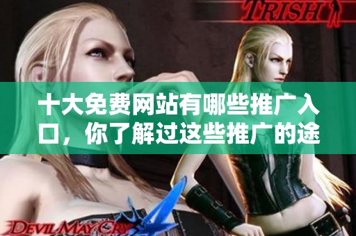 十大免费网站有哪些推广入口，你了解过这些推广的途径吗