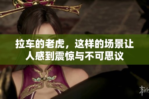 拉车的老虎，这样的场景让人感到震惊与不可思议