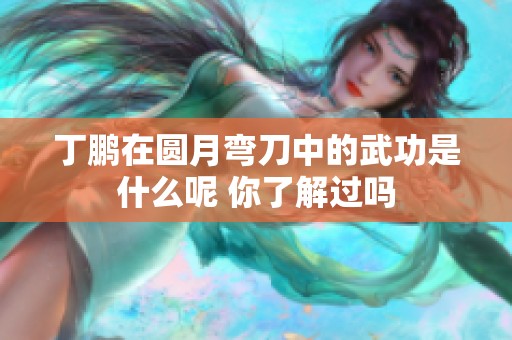 丁鹏在圆月弯刀中的武功是什么呢 你了解过吗
