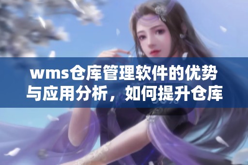 wms仓库管理软件的优势与应用分析，如何提升仓库管理效率