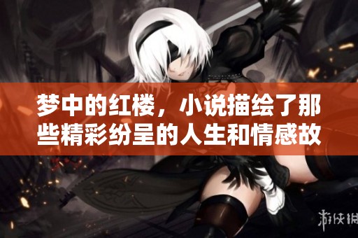梦中的红楼，小说描绘了那些精彩纷呈的人生和情感故事