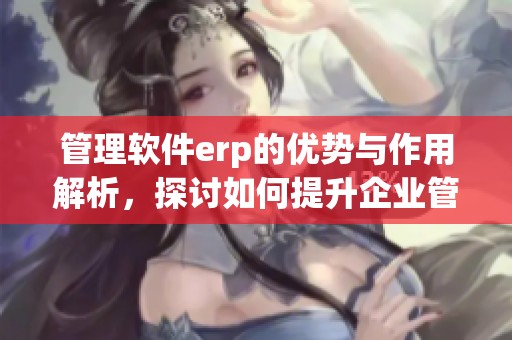 管理软件erp的优势与作用解析，探讨如何提升企业管理效率