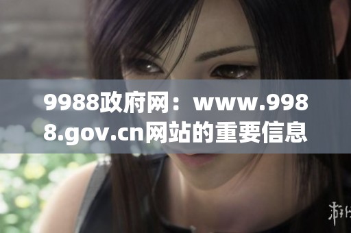 9988政府网：www.9988.gov.cn网站的重要信息与服务介绍