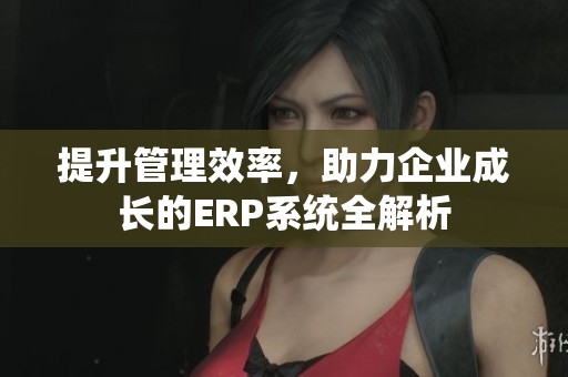 提升管理效率，助力企业成长的ERP系统全解析