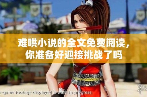 难哄小说的全文免费阅读，你准备好迎接挑战了吗