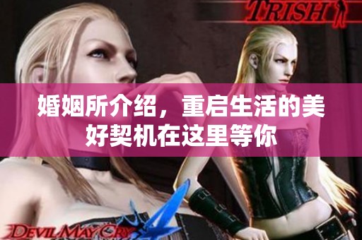 婚姻所介绍，重启生活的美好契机在这里等你
