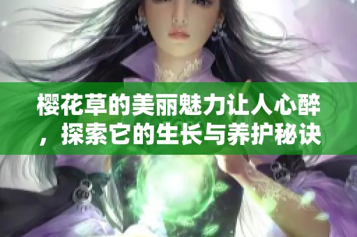 樱花草的美丽魅力让人心醉，探索它的生长与养护秘诀