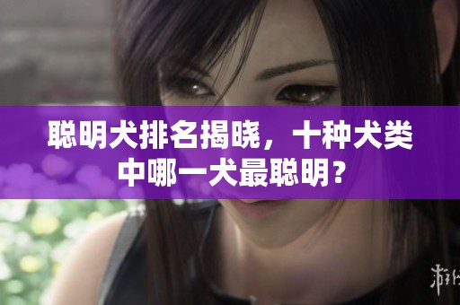 聪明犬排名揭晓，十种犬类中哪一犬最聪明？