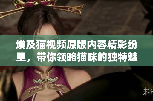 埃及猫视频原版内容精彩纷呈，带你领略猫咪的独特魅力与风采