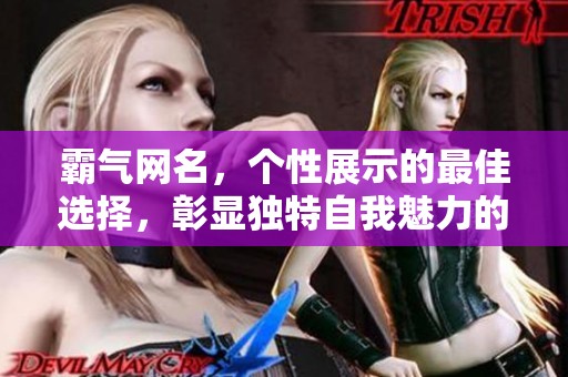 霸气网名，个性展示的最佳选择，彰显独特自我魅力的全新体验