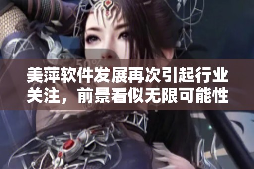 美萍软件发展再次引起行业关注，前景看似无限可能性。