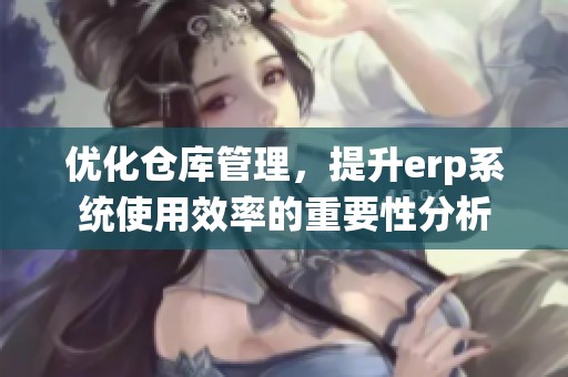 优化仓库管理，提升erp系统使用效率的重要性分析