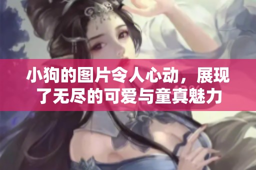 小狗的图片令人心动，展现了无尽的可爱与童真魅力