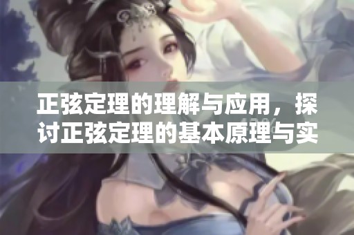 正弦定理的理解与应用，探讨正弦定理的基本原理与实例解析