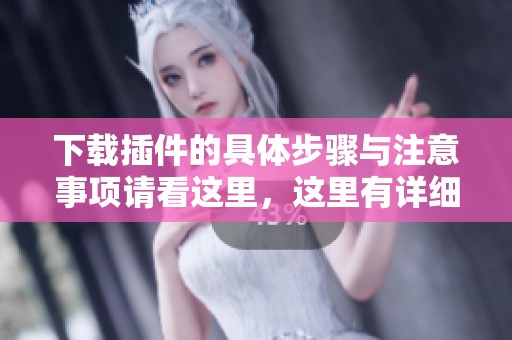 下载插件的具体步骤与注意事项请看这里，这里有详细的指南和建议