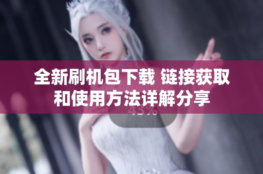 全新刷机包下载 链接获取和使用方法详解分享