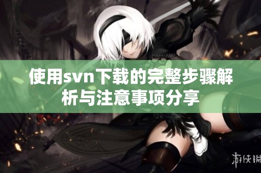 使用svn下载的完整步骤解析与注意事项分享