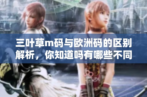 三叶草m码与欧洲码的区别解析，你知道吗有哪些不同之处吗