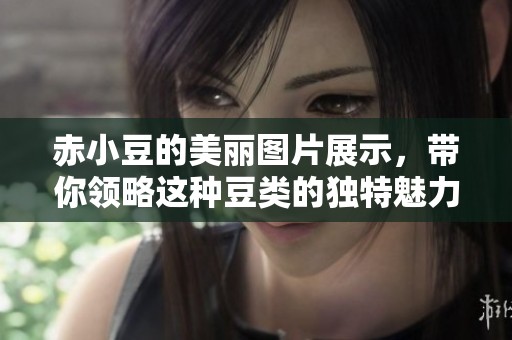 赤小豆的美丽图片展示，带你领略这种豆类的独特魅力和色彩