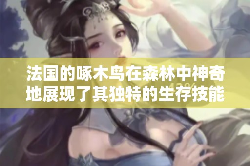 法国的啄木鸟在森林中神奇地展现了其独特的生存技能