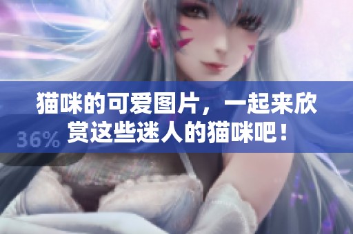 猫咪的可爱图片，一起来欣赏这些迷人的猫咪吧！