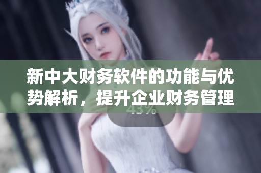 新中大财务软件的功能与优势解析，提升企业财务管理效率的利器