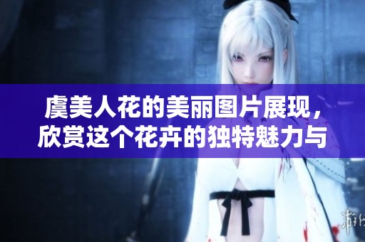 虞美人花的美丽图片展现，欣赏这个花卉的独特魅力与风采