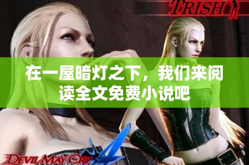 在一屋暗灯之下，我们来阅读全文免费小说吧