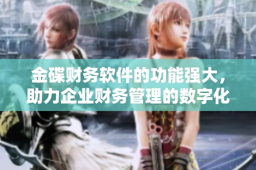 金碟财务软件的功能强大，助力企业财务管理的数字化转型之路