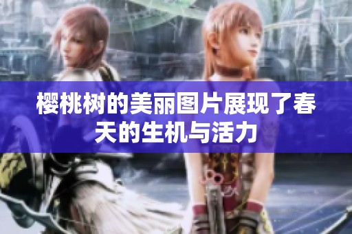 樱桃树的美丽图片展现了春天的生机与活力