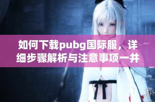 如何下载pubg国际服，详细步骤解析与注意事项一并提供