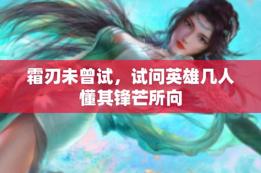 霜刃未曾试，试问英雄几人懂其锋芒所向