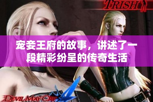 宠妾王府的故事，讲述了一段精彩纷呈的传奇生活