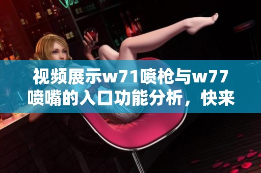 视频展示w71喷枪与w77喷嘴的入口功能分析，快来观看详情吧