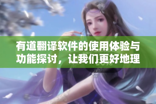 有道翻译软件的使用体验与功能探讨，让我们更好地理解这款工具