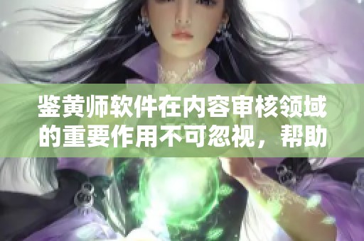 鉴黄师软件在内容审核领域的重要作用不可忽视，帮助维护网络环境的安全和健康